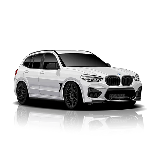 X3 / X3M